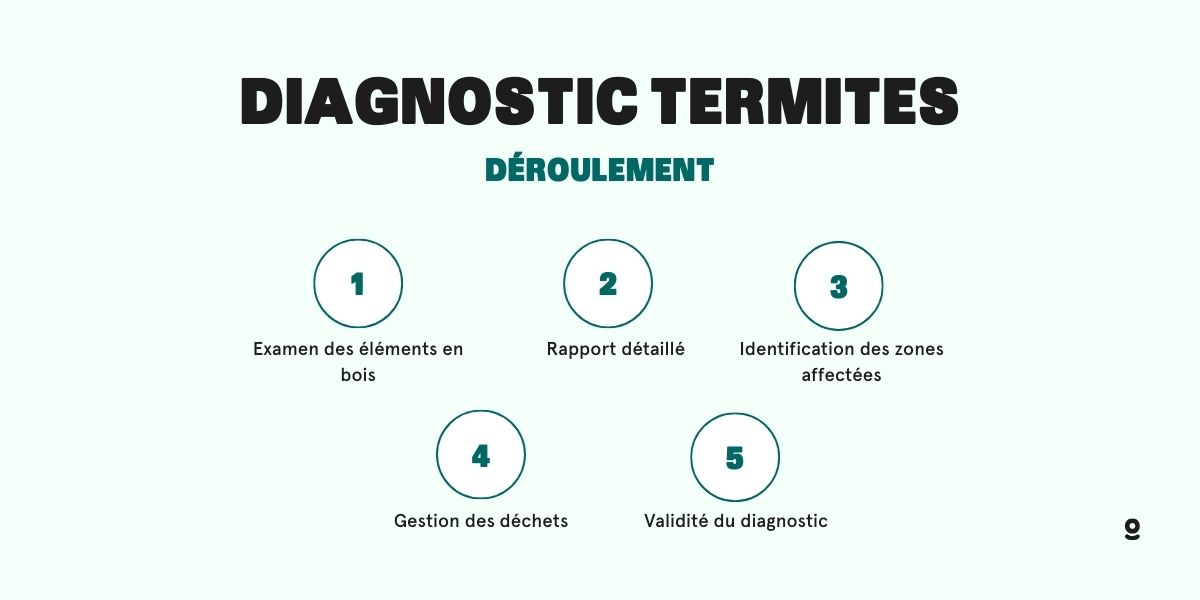 diagnostic termite var
