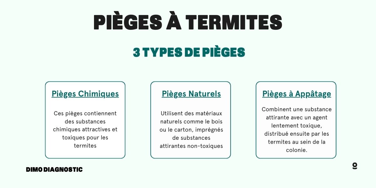 pièges termites