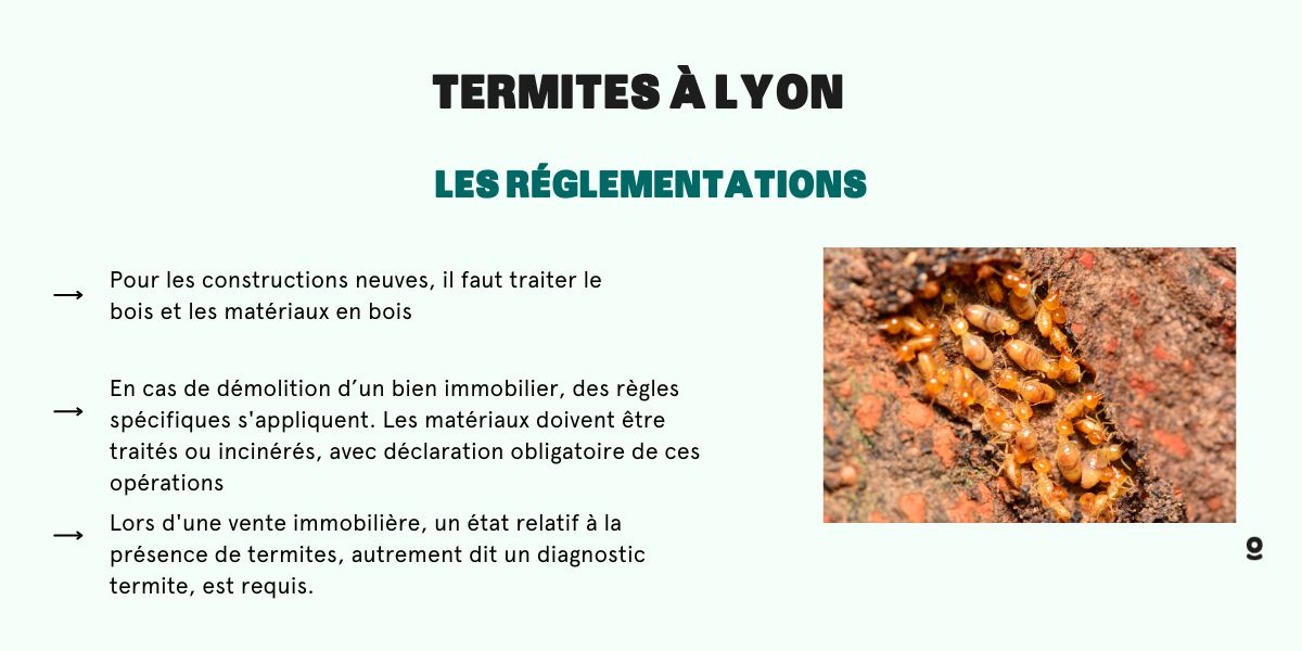 Trouver un spécialiste anti-nuisible à Lyon 69 Rhône-Alpes pour exterminer  des termites dans un appartement - NuisiProtect