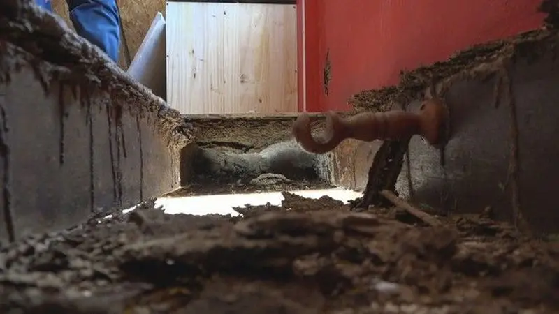  maison dégat termite photo