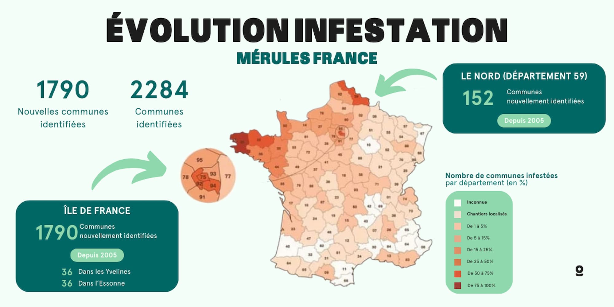 Évolution Infestation Mérules France