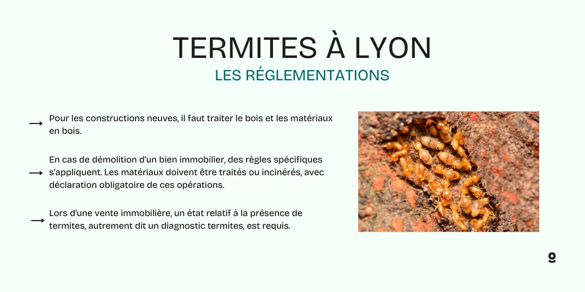 termites lyon